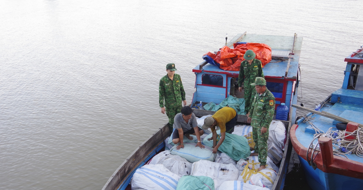 Vĩnh Long phát hiện 7 tấn vảy tê tê, da trăn, xương động vật tuồn về Việt Nam