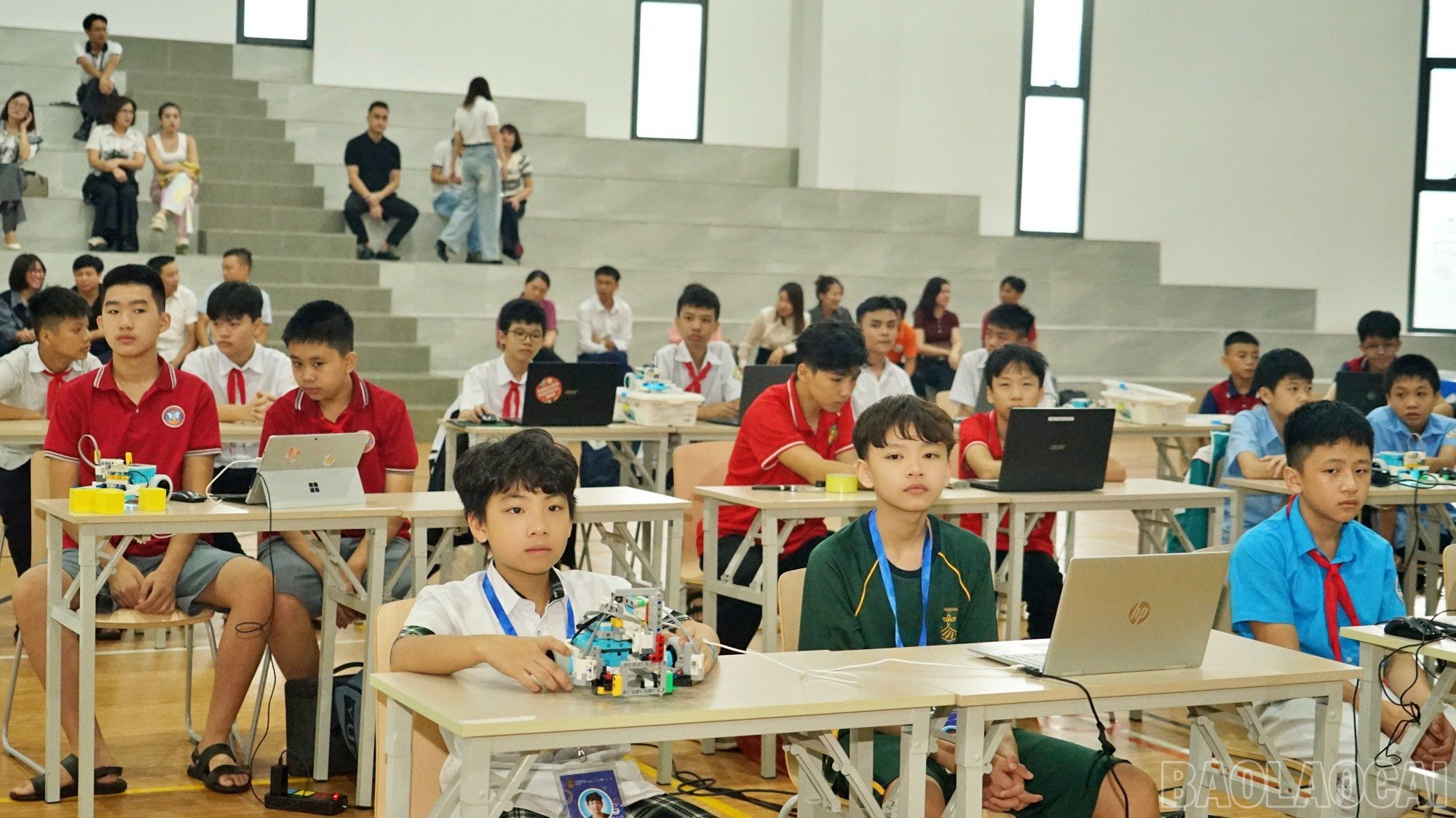 baolaocai-br_robo5.jpg