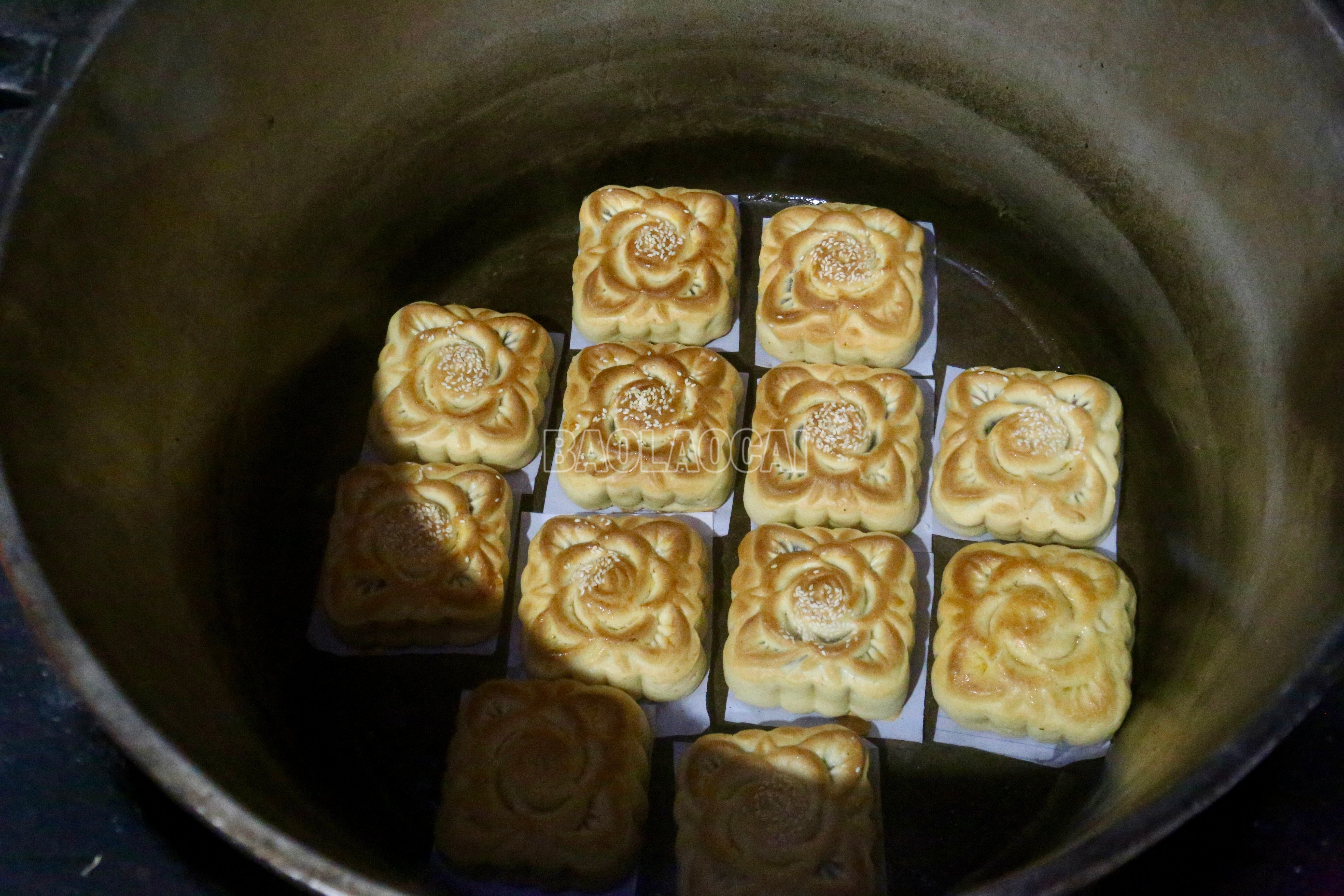 baolaocai-c_img-6490.jpg