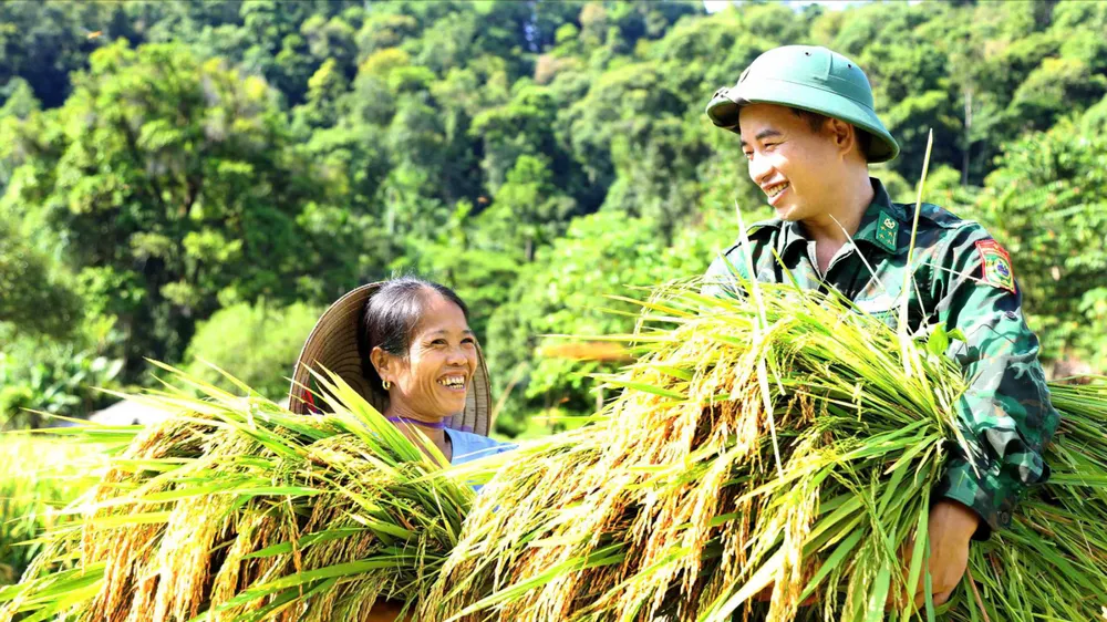 Soldiers help people harvest rice during the storm