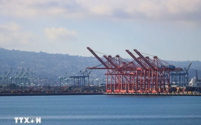 Quang cảnh cảng hàng hóa Long Beach, California, Mỹ. (Nguồn: THX/TTXVN)