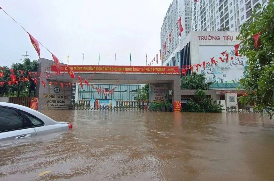ngao.jpg
