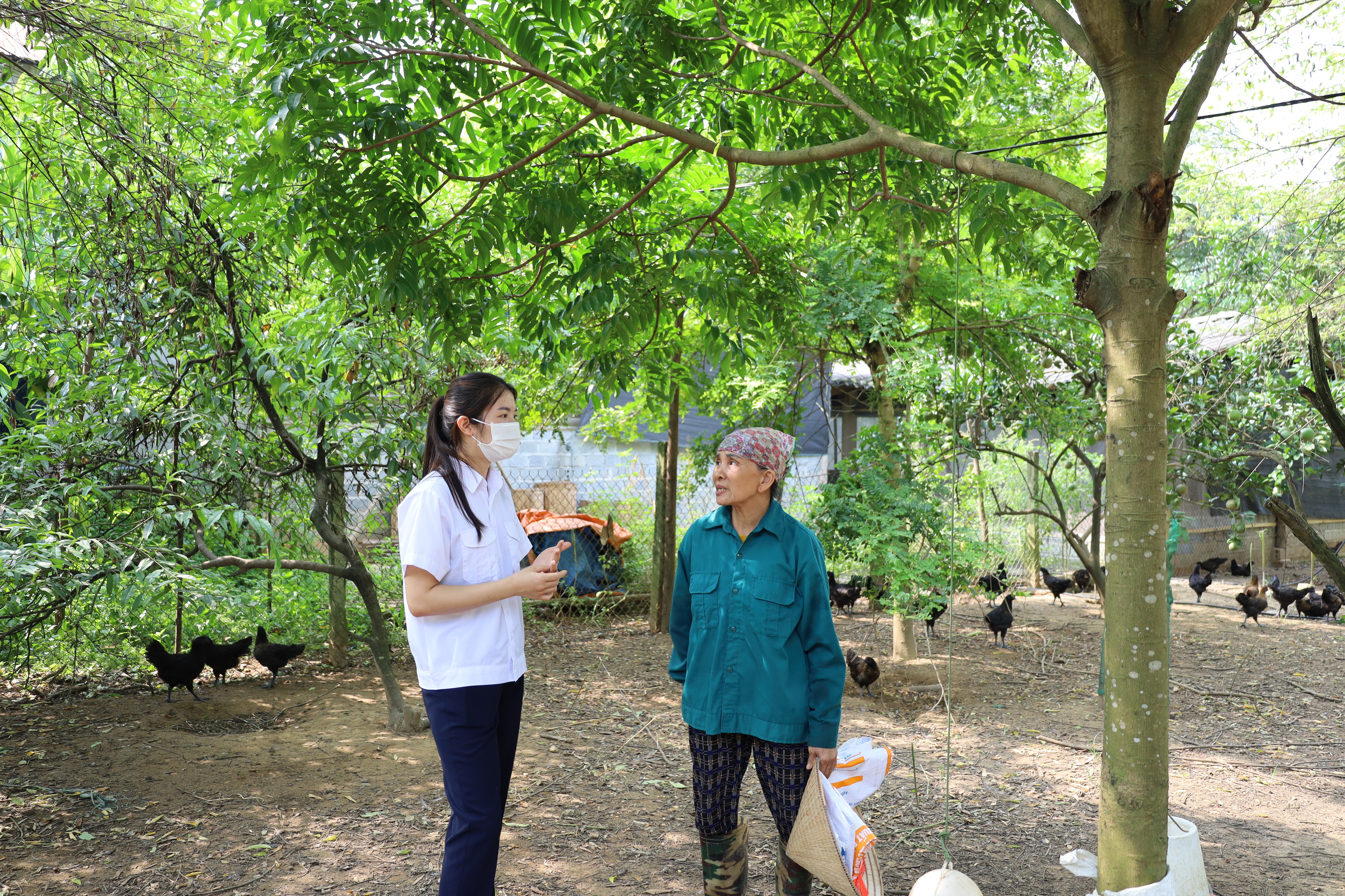 huong-dan-nguoi-dan-cham-soc-dan-vat-nuoi-thoi-diem-giao-mua.jpg