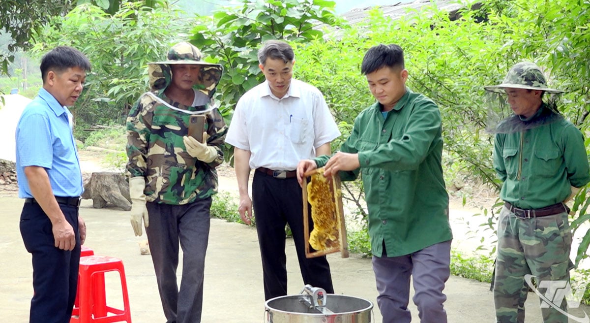 Vedoucí představitelé Asociace farmářů Thai Nguyen navštívili v obci Cho Ra modelovou ukázku včelařství spojeného s pěstováním voňavé zelené dýně.