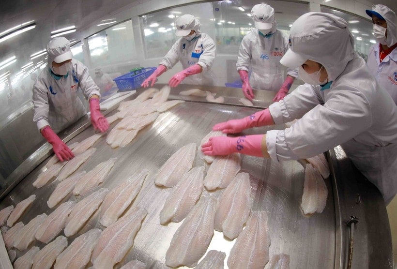 processing-tra-fish-for-export-at-the-factory-of-Sao-Mai-Group.-Anh-Vu-Sinh.jpg