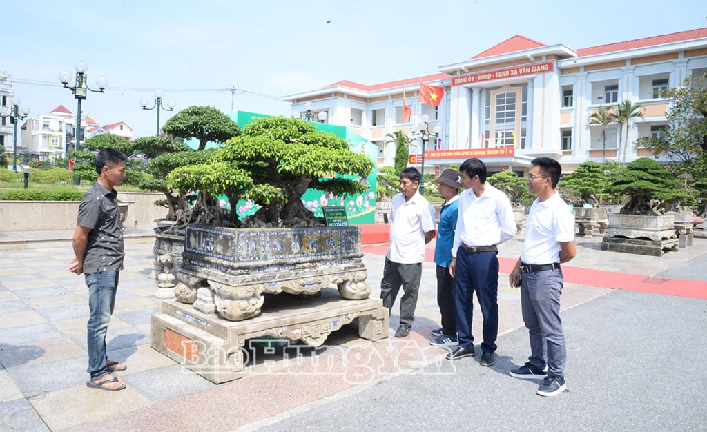 អ្នកថែសួននៅឃុំ Van Giang ផ្លាស់ប្តូរបទពិសោធន៍លើការកែទម្រង់ Bonsai។