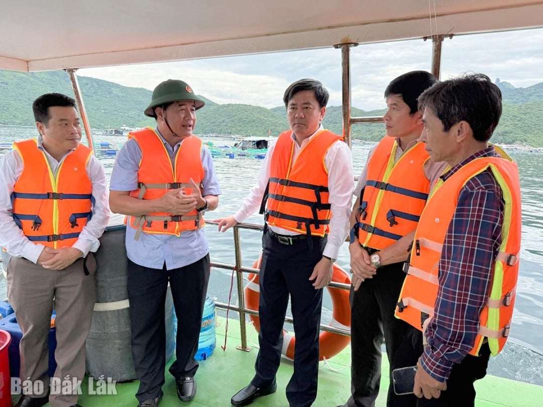 Der stellvertretende Vorsitzende des Volkskomitees der Provinz, Nguyen Thien Van, inspizierte das Aquakulturgebiet in der Bucht von Vung Ro.