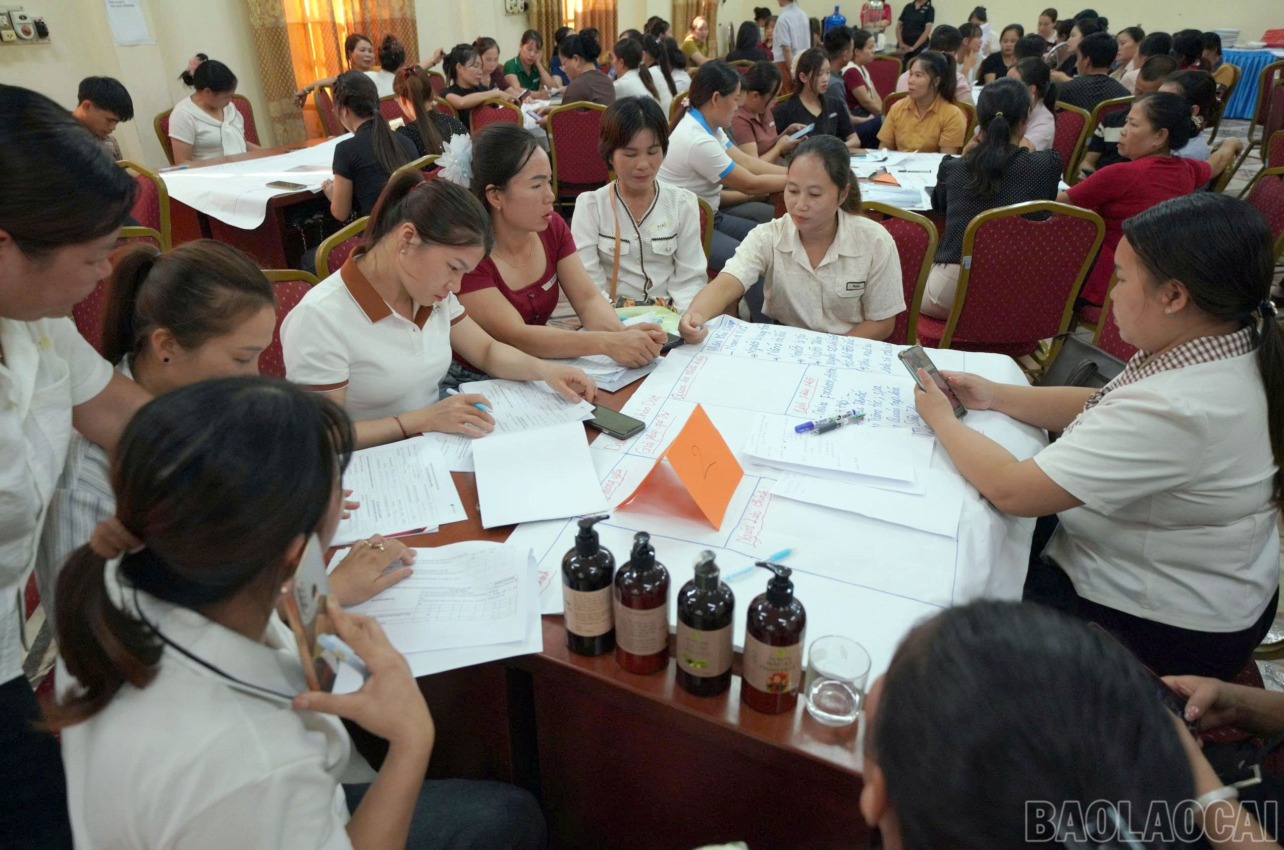 baolaocai-br_thao-luan.jpg