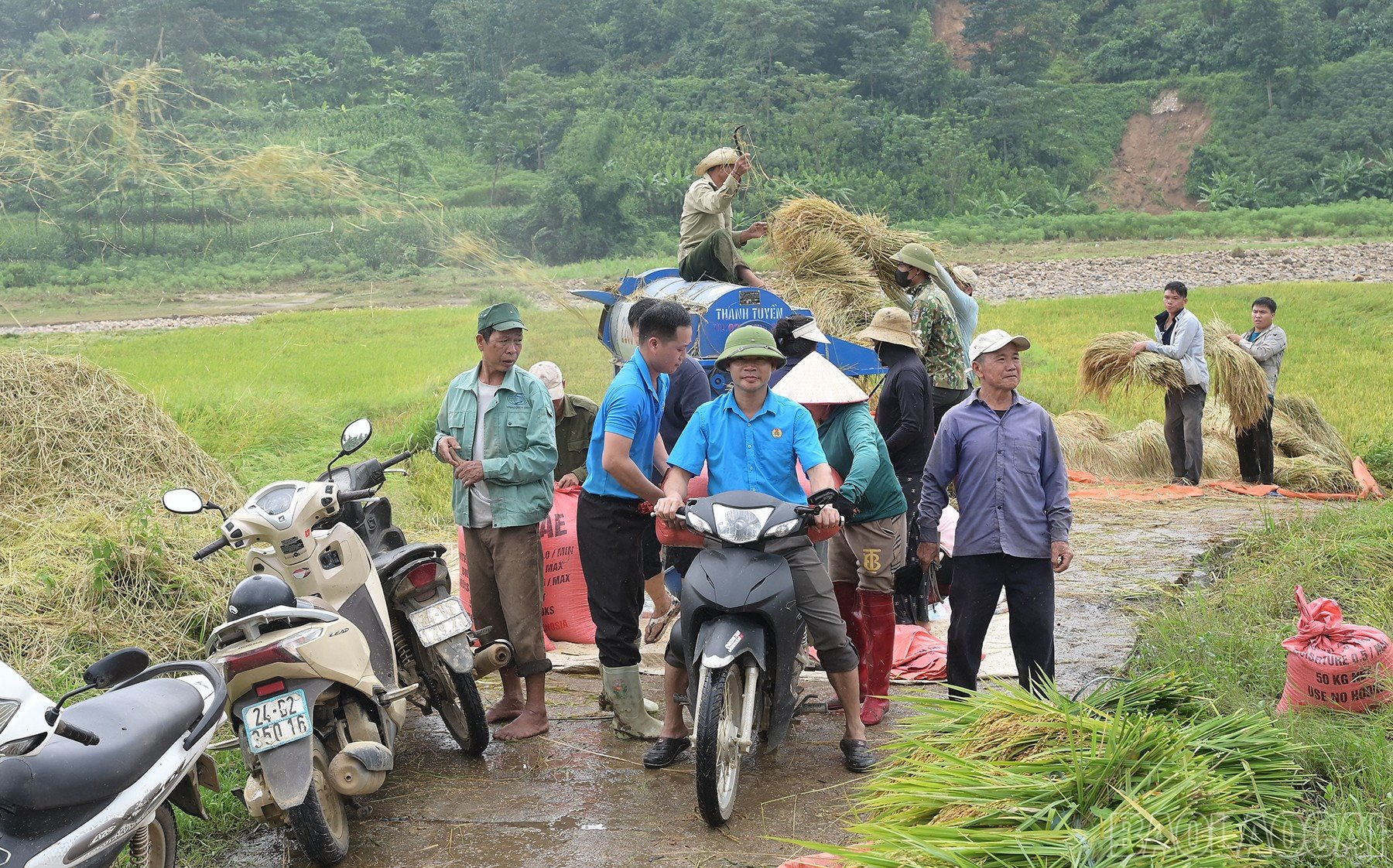 baolaocai-br_hai-6372.jpg