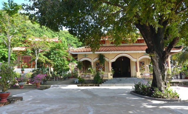 Thất Sơn huyền bí: Cây đàn lạ ở chùa Năm Căn- Ảnh 1.