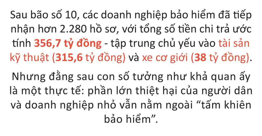 bao-so-10-1.jpg