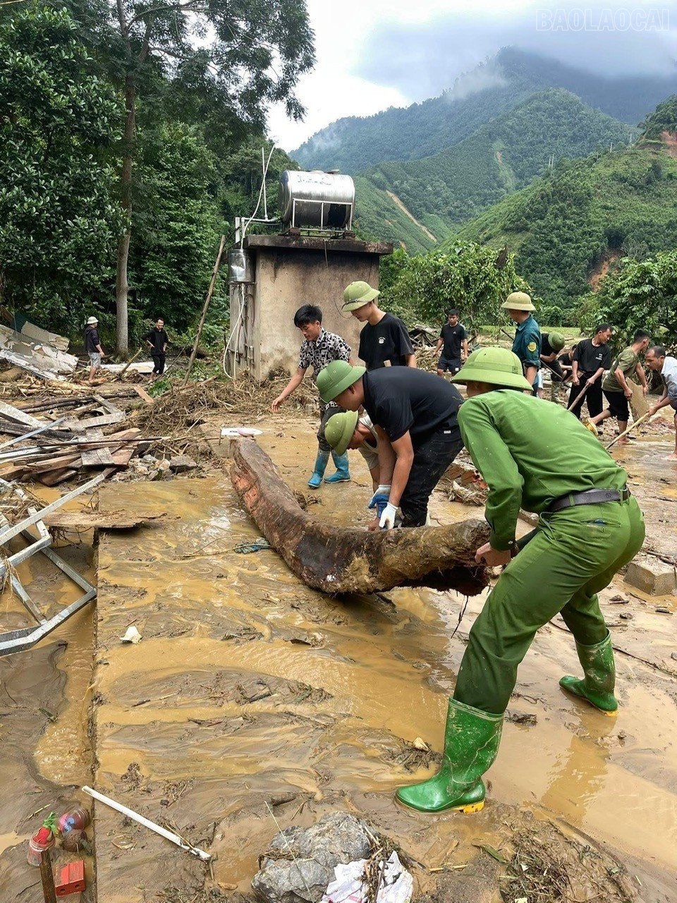 baolaocai-tr_z7083183094087-b8c1f179a86703ea150d2f35d3e3cf44.jpg