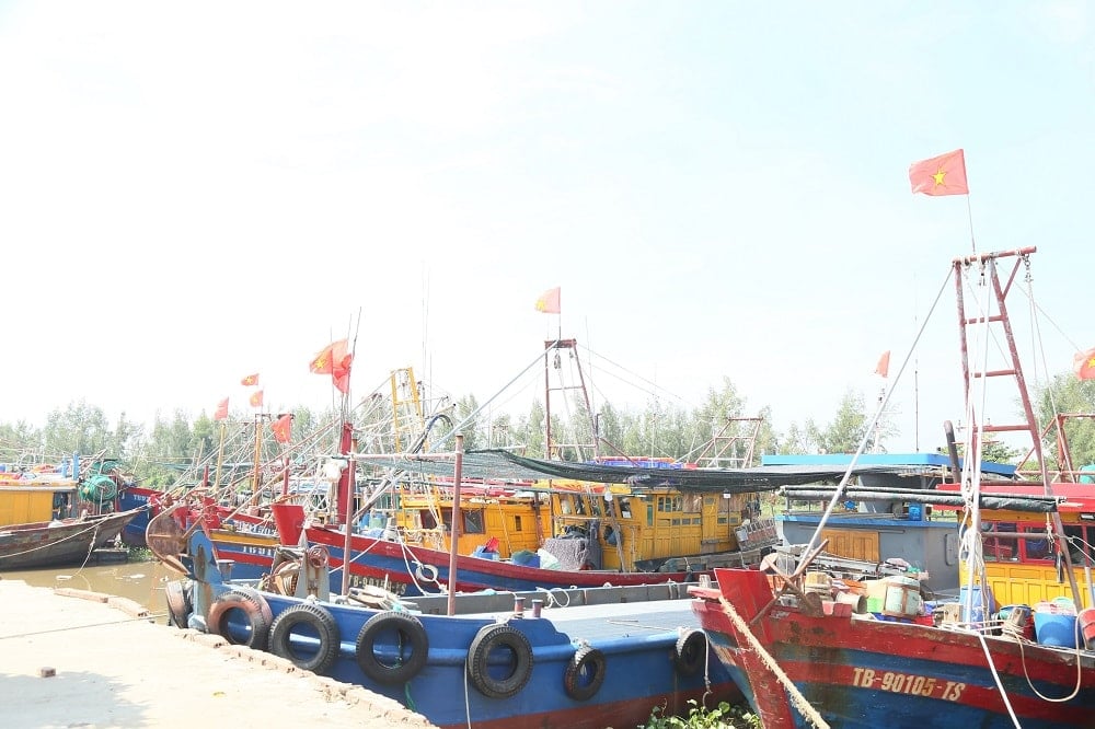 ៦_ កប៉ាល់ និងទូក បោះយុថ្កានៅកំពង់ផែនេសាទ Cua Lan ឃុំ Nam Cuong_
