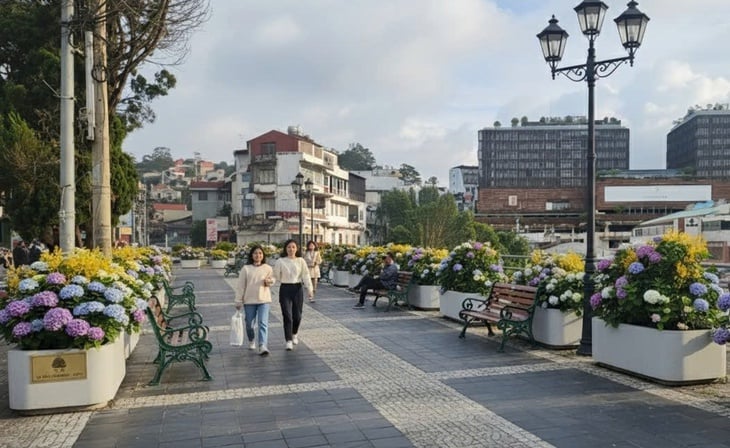 Dỡ bỏ ki ốt chợ đồ len Đà Lạt, trồng hoa chỉnh trang đô thị - Ảnh 2.