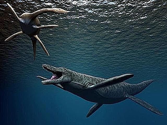 Hóa thạch phát hiện ở Úc và Colombia. Những mẫu hóa thạch của Kronosaurus được tìm thấy ở nhiều nơi, nổi bật nhất là tại Queensland (Úc). Ảnh: Pinterest.