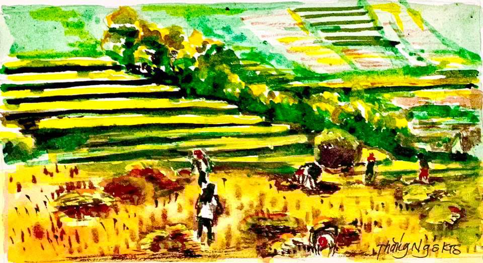 Bí mật vẻ đẹp mê hồn ruộng bậc thang Mù Cang Chải- Ảnh 6.