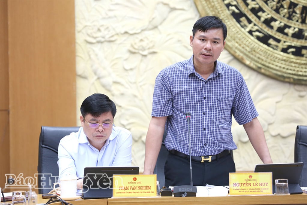 Comrade Nguyen Le Huy, Member of the Provincial Party Standing Committee, Vice Chairman of the Provincial People's Committee spoke at the meeting.