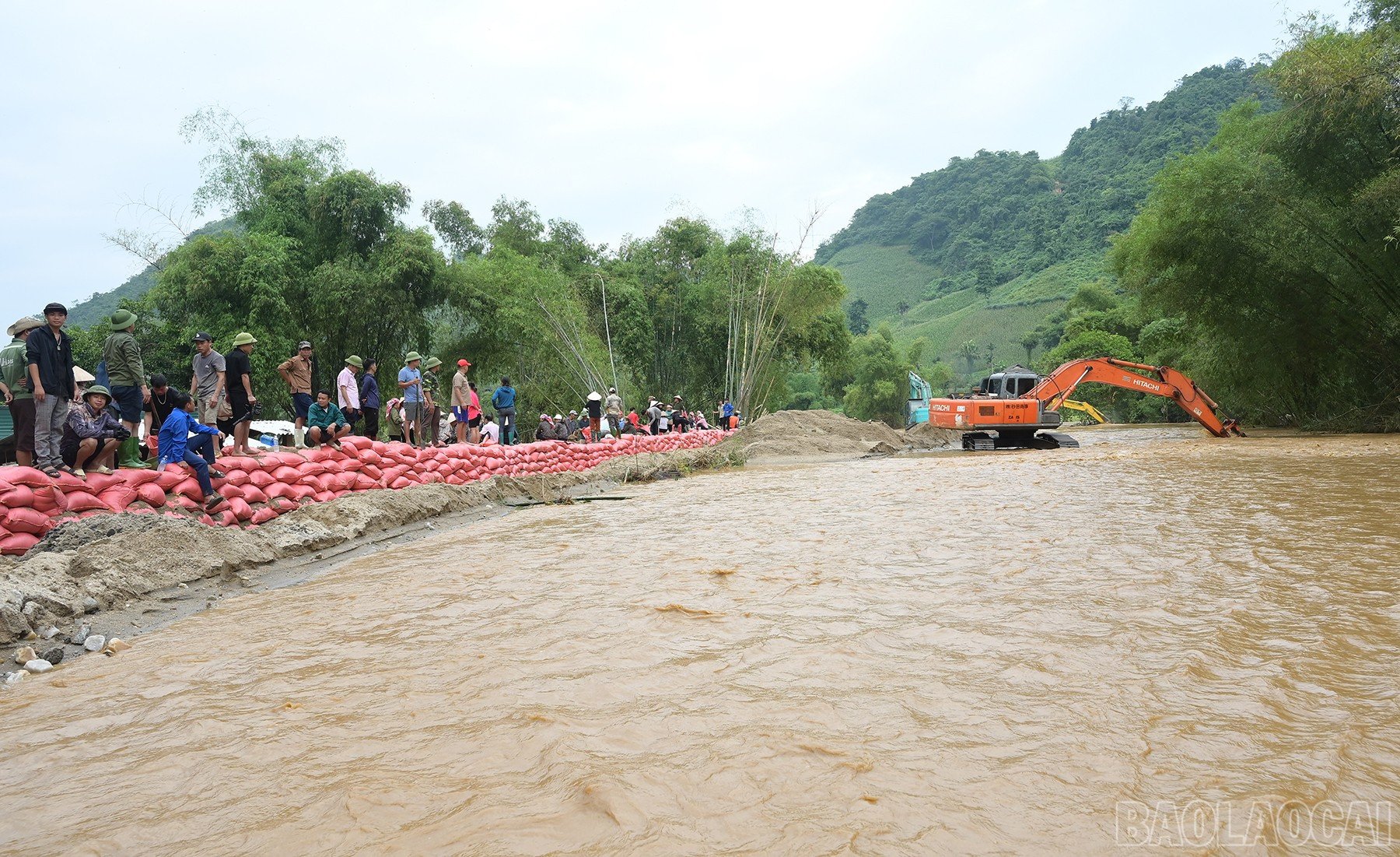 baolaocai-br_ke-8.jpg