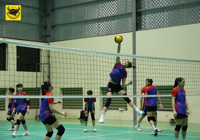Lịch thi đấu giai đoạn 2 giải bóng chuyền vô địch quốc gia 2025 mới nhất- Ảnh 2.