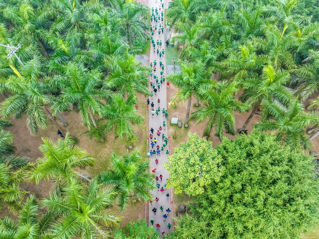 Đại đô thị xanh lớn nhất Nghệ An lần đầu tổ chức giải chạy Eco Central Park Marathon - 1