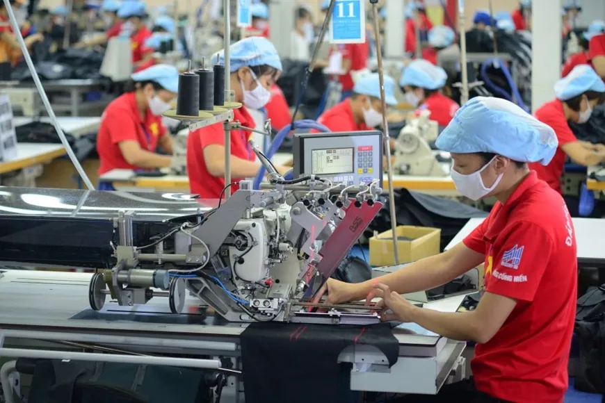 GDP quý III tăng 8,23%- Ảnh 2.