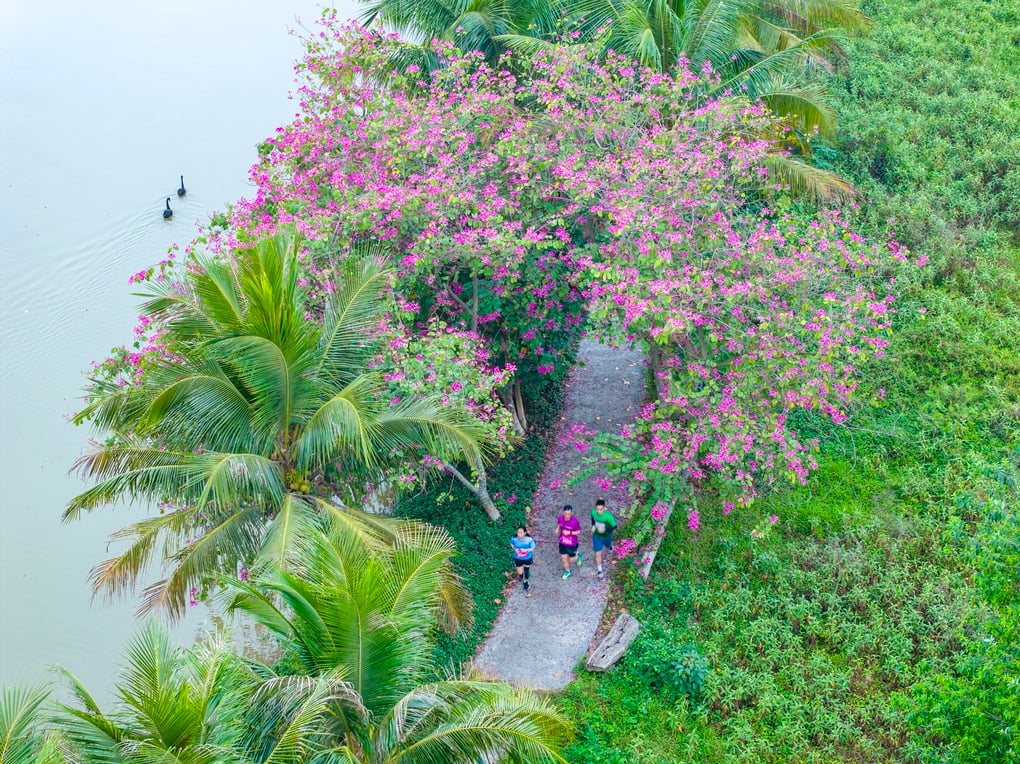 Đại đô thị xanh lớn nhất Nghệ An lần đầu tổ chức giải chạy Eco Central Park Marathon - 2