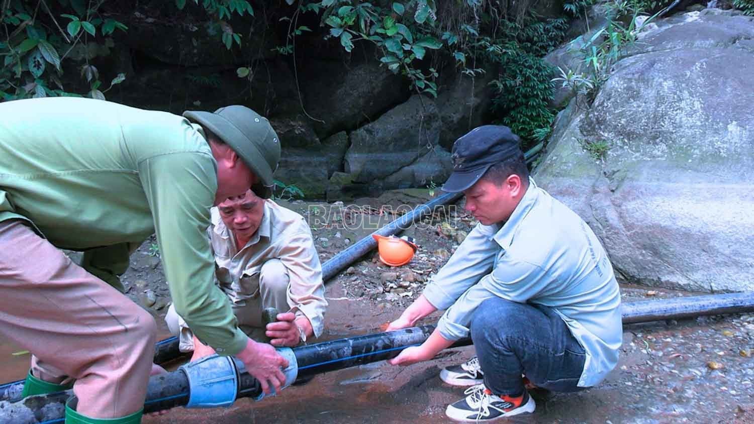 baolaocai-c_1b.jpg