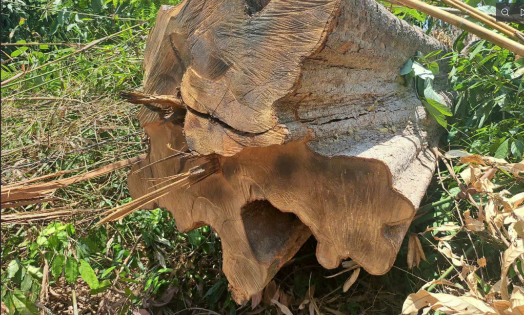 រូបថតអេក្រង់ 2025,10,06,190257,19062106.png