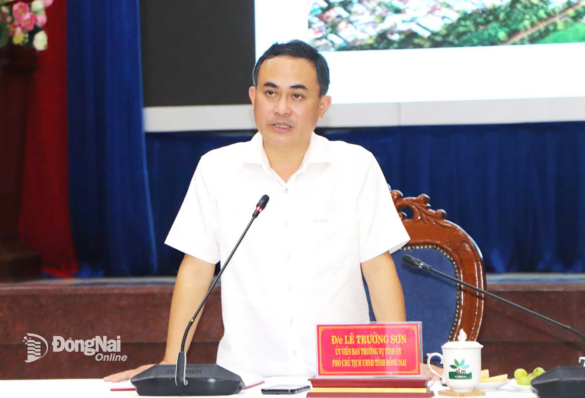 Ủy viên Ban Thường vụ Tỉnh ủy, Phó Chủ tịch UBND tỉnh Đồng Nai Lê Trường Sơn phát biểu chỉ đạo tại buổi làm việc. Ảnh: Ngọc Liên