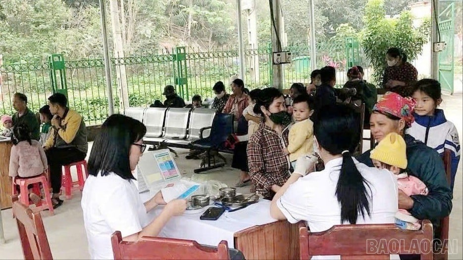 baolaocai-br_z7084933451245-cbab68986dee1f78b0bf842c2650ac90.jpg