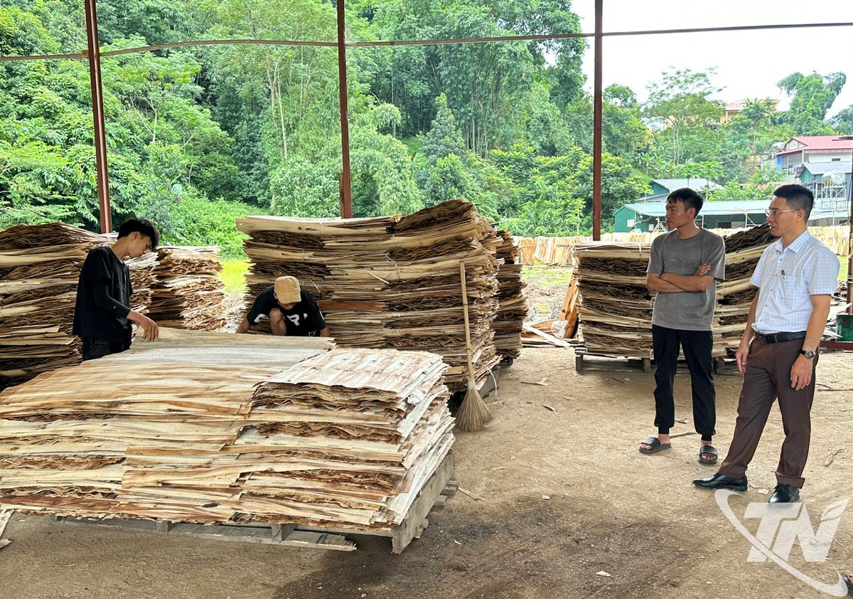 Träbearbetningsanläggningen hos An Thanh Huy Hanoi Co., Ltd. i Bang Thanh kommun