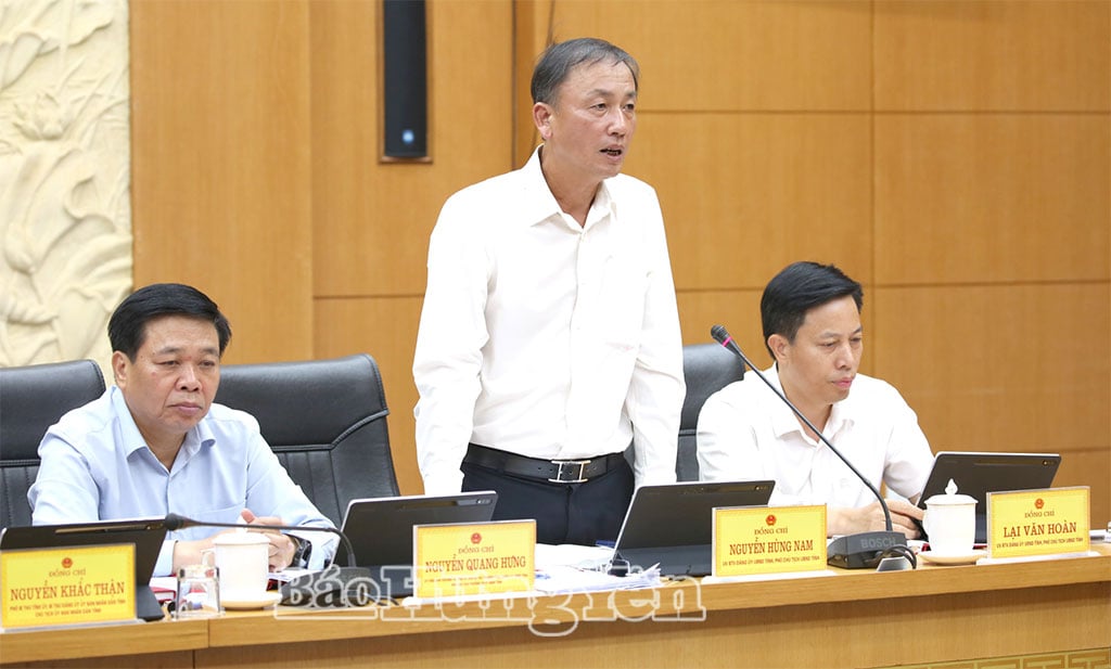 Comrade Nguyen Hung Nam, Vice Chairman of the Provincial People's Committee spoke at the meeting.