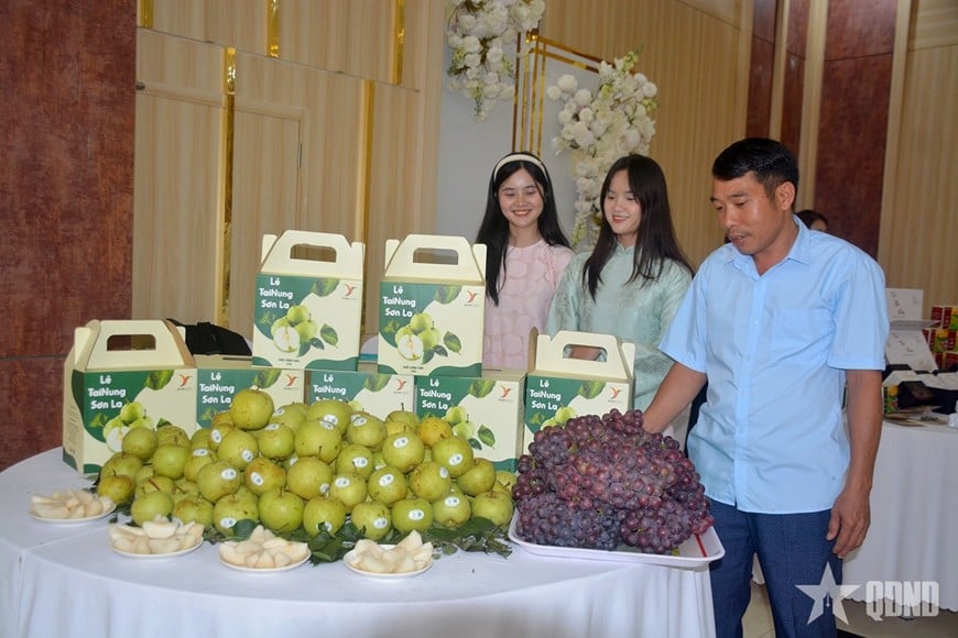ការបង្ហាញ និងណែនាំផ្លែឈើនៅវេទិកាតភ្ជាប់ និងប្រើប្រាស់ផលិតផលកសិកម្ម និងព្រៃឈើ ដែលប្រារព្ធឡើងនៅខេត្ត Son La។