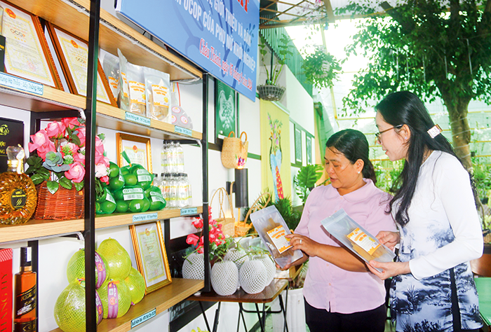Ženy se spojily, aby vybudovaly novou krajinu