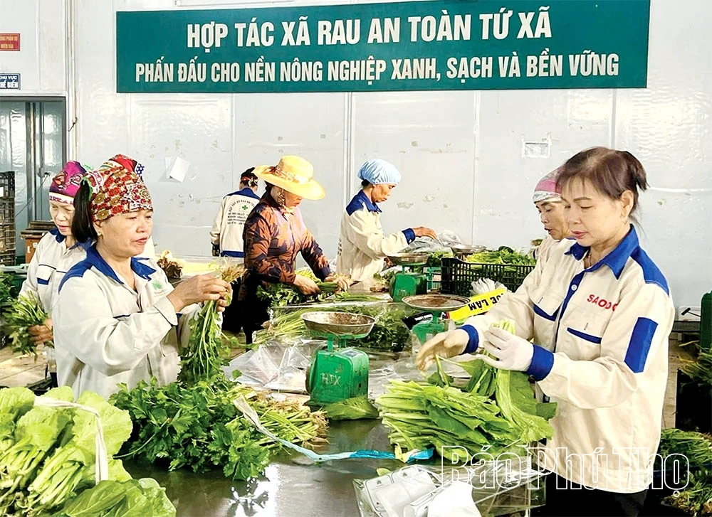 Pertanian organik - Trend pertanian moden yang tidak dapat dielakkan