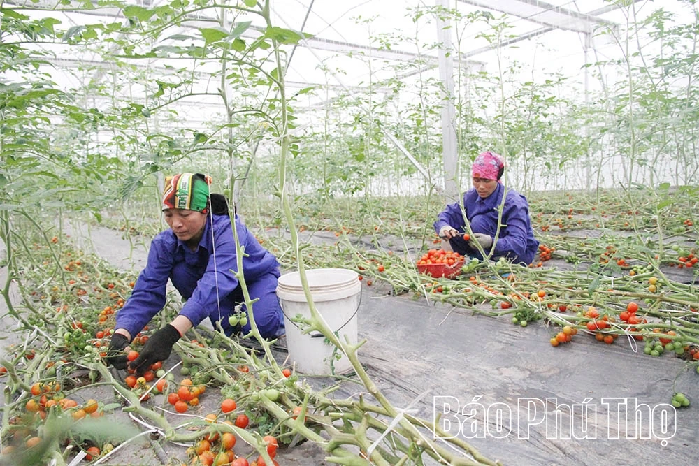 Pertanian organik - Trend pertanian moden yang tidak dapat dielakkan