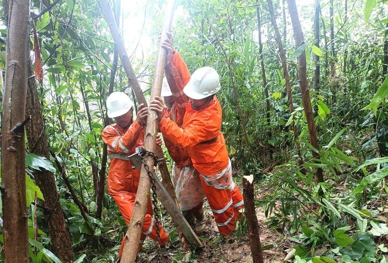 Nỗ lực khôi phục lưới điện sau mưa lũ tại miền Trung- Ảnh 3.