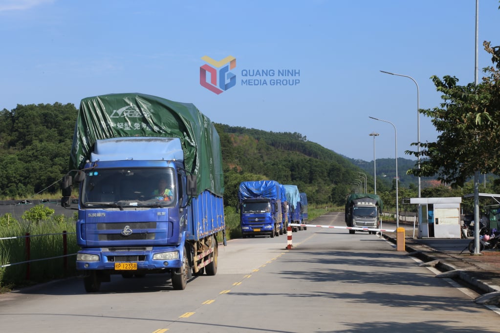 ការនាំចូលទំនិញតាមច្រក Km3+4 ផ្សារ Mong Cai 3 Ward ។