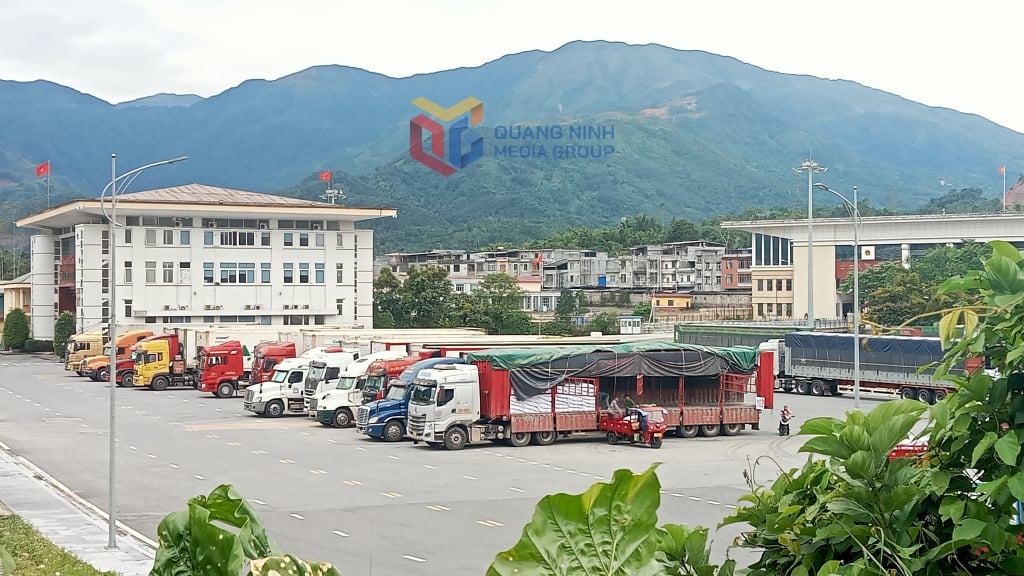 តំបន់ផ្ទុក និងដឹកជញ្ជូនទំនិញនាំចូល និងនាំចេញនៅច្រកព្រំដែន Phong Sinh ខាងជើង (វៀតណាម) - Ly Hoa (ចិន) ដែលជាកម្មសិទ្ធិរបស់ច្រកទ្វារព្រំដែនទ្វេភាគី Hoanh Mo (វៀតណាម) - Dong Trung (ចិន)