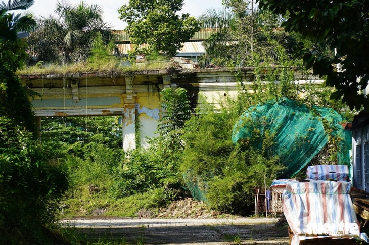 Gò Công - Ảnh 2.