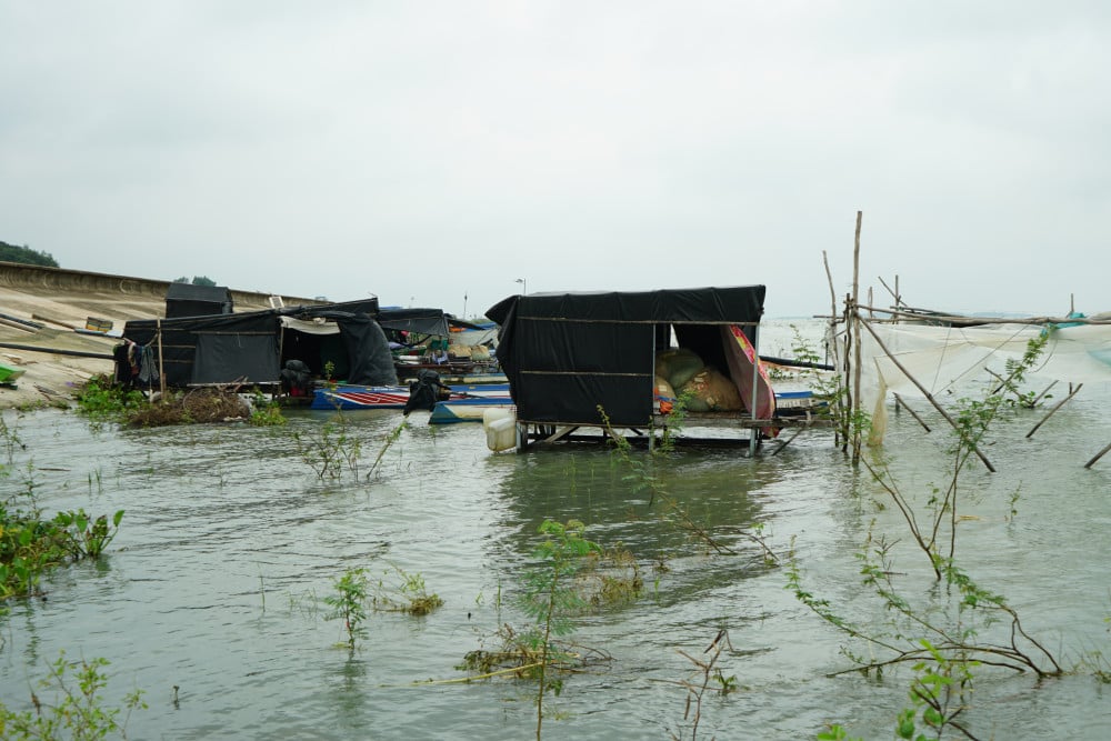 Không ít căn chòi còn đứng chân dưới nước, chưa kịp di dời lên mái đê
