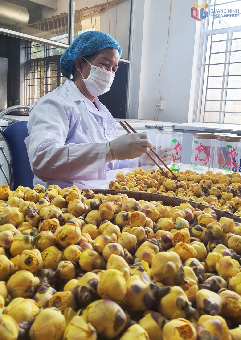 The golden flower tea product processed by Dap Thanh Forestry Joint Stock Company is currently a national 5-star OCOP product.