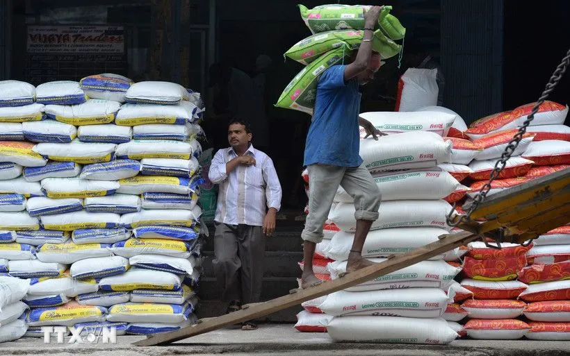 인도 방갈로르의 한 창고에서 노동자들이 쌀을 운반하고 있다. (사진: AFP/VNA) Công nhân vận chuyển gạo tại nhà kho ở Bangalore, Ấn Độ. (Ảnh: AFP/TTXVN)