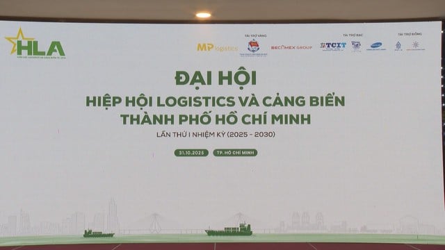 Ba hiệp hội logistics hợp nhất, thành lập Hiệp hội Logistics và Cảng biển TP. Hồ Chí Minh - Ảnh 1.