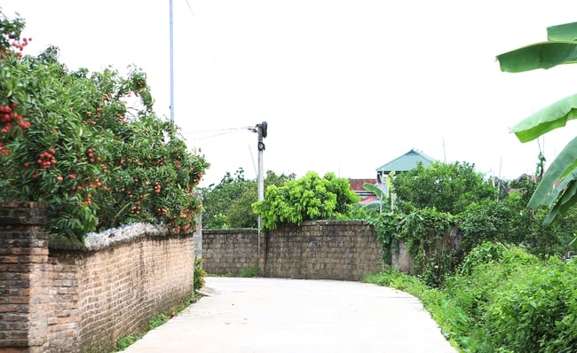 Бакнинь продолжает содействовать реализации Национальной целевой программы по новому сельскому строительству и устойчивому сокращению бедности к 2025 году - Фото 1. Bắc Ninh tiếp tục đẩy mạnh thực hiện Chương trình MTQG xây dựng nông thôn mới và giảm nghèo bền vững năm 2025 - Ảnh 1.