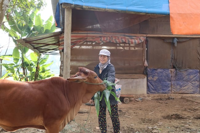 Thái Nguyên: Huy động, sử dụng hiệu quả nguồn lực đầu tư cho giảm nghèo, ưu tiên hạ tầng kinh tế - xã hội tại các xã đặc biệt khó khăn - Ảnh 1.