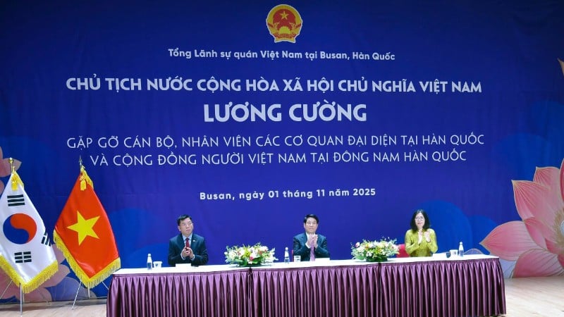 President Luong Cuong träffade tjänstemän och personal från vietnamesiska representationsorgan i Korea och den vietnamesiska befolkningen i sydöstra Korea.