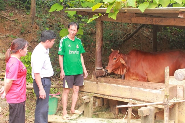 ໄທ ຫງວຽນ: ປະຕິບັດ​ນະ​ໂຍບາຍ​ຫຼຸດຜ່ອນ​ຄວາມທຸກ​ຍາກ​ຢ່າງ​ມີ​ປະສິດທິ​ຜົນ​ຕິດ​ພັນ​ກັບ​ການ​ພັດທະນາ​ແບບ​ຍືນ​ຍົງ, ລະດົມ ​ແລະ ນຳ​ໃຊ້​ທຸກ​ແຫຼ່ງກຳລັງ​ຢ່າງ​ສົມ​ເຫດ​ສົມ​ຜົນ - ຮູບ 1.