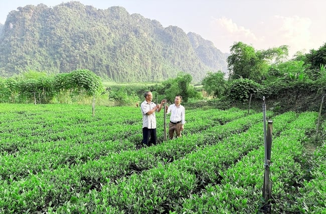 ໄທຫງວຽນ: ປະຕິບັດ​ນະ​ໂຍບາຍ​ຫຼຸດຜ່ອນ​ຄວາມທຸກ​ຍາກ​ຢ່າງ​ມີ​ປະສິດທິ​ຜົນ​ຕິດ​ພັນ​ກັບ​ການ​ພັດທະນາ​ແບບ​ຍືນ​ຍົງ, ລະດົມ ​ແລະ ນຳ​ໃຊ້​ທຸກ​ແຫຼ່ງກຳລັງ​ຢ່າງ​ສົມ​ເຫດ​ສົມ​ຜົນ - ຮູບ 2.