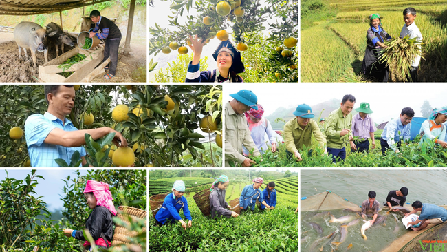 Lào Cai: Quỹ Hỗ trợ nông dân giúp người dân thoát nghèo - Ảnh 1.